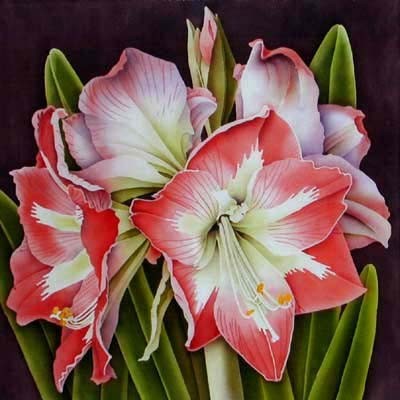 87929242_large_1400063_amaryllis2 (400x400, 40Kb)