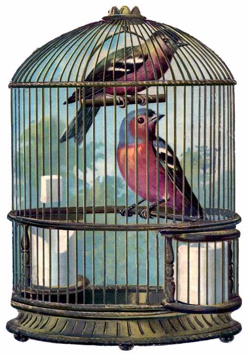 bird cage vintage image GraphicsFairy004sm (489x700, 296Kb)