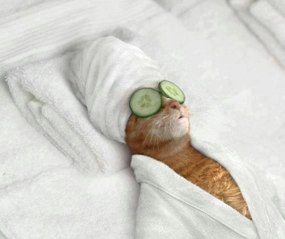  (572x480, 25Kb)