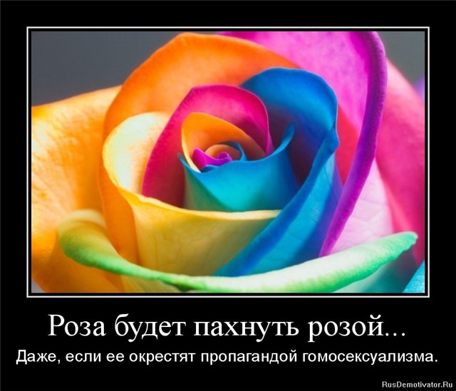 7f7b9900a313 (640x549, 54Kb)