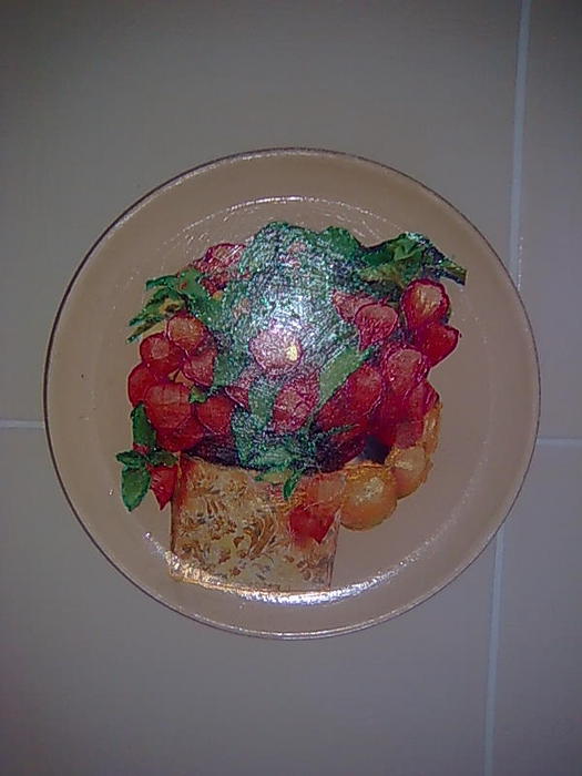 4826692_Foto0630_1_ (525x700, 41Kb)