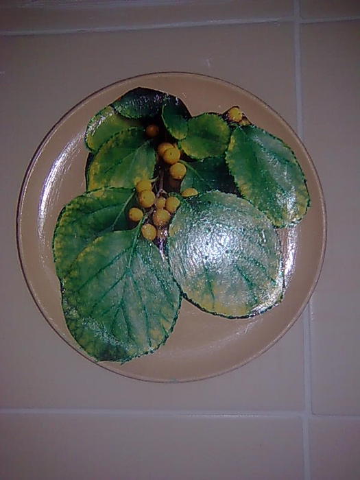 4826692_Foto0631_1_ (525x700, 44Kb)