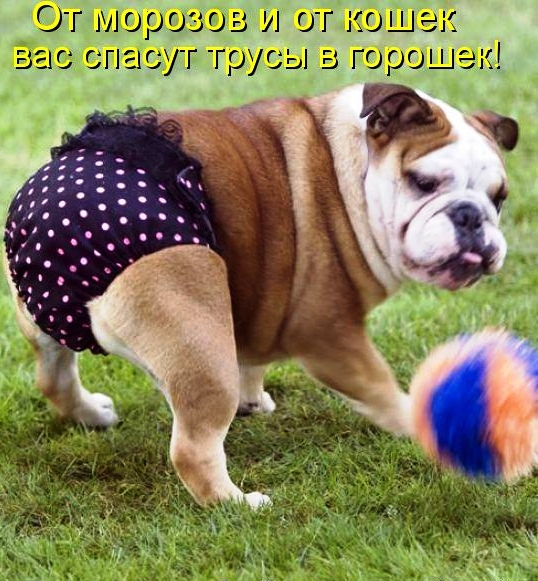  (538x581, 243Kb)