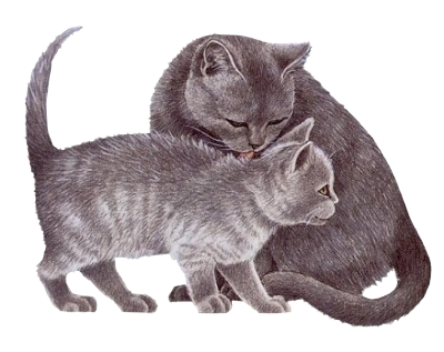 cats (400x317, 161Kb)