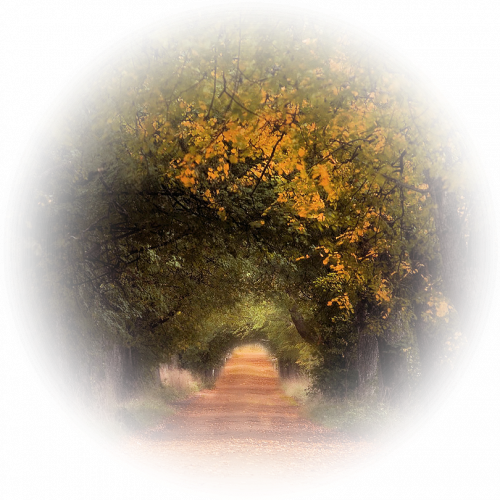 mod_article1726646_35 (500x500, 537Kb)