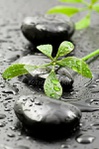  watermark (398x600, 102Kb)