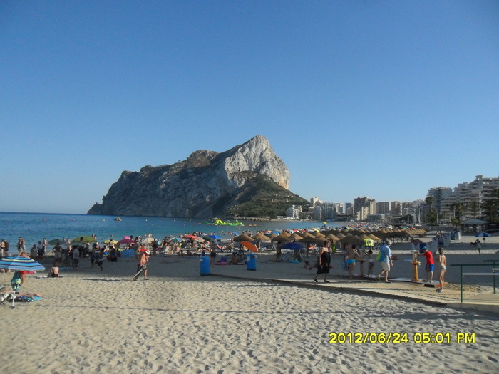 SAM_9308 (700x525, 118Kb)