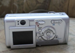 IMG_0053 (314x222, 32Kb)