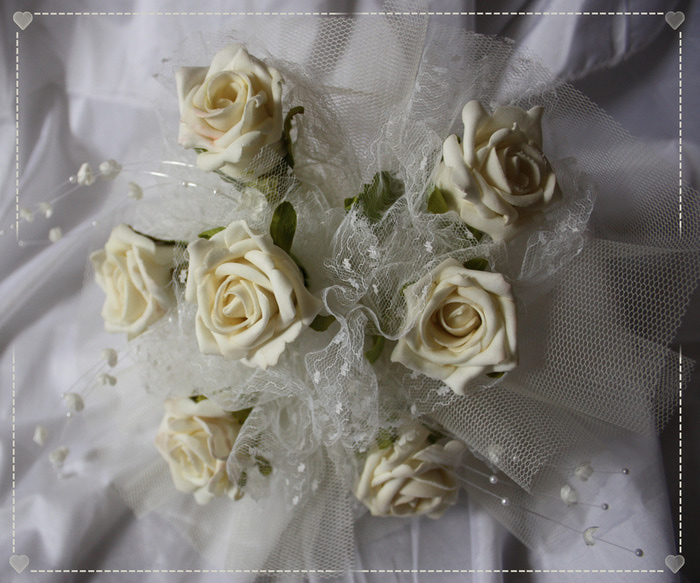 IMG_0247 (700x583, 142Kb)