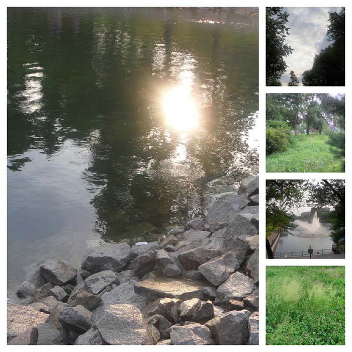 PicMonkey Collage (700x700, 169Kb)