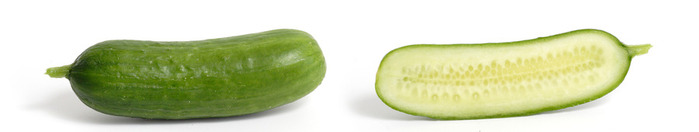 Cucumber_and_cross_section (700x132, 20Kb)