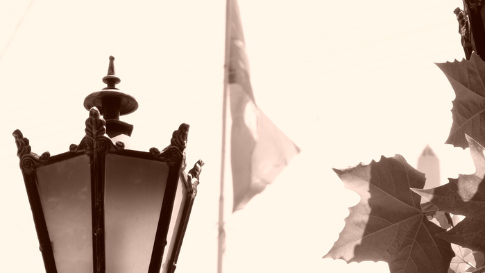 DSC00326 (700x393, 57Kb)
