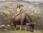  Chinese-life-picture-you-will-not-see-in-the-furture-7 (550x418, 54Kb)