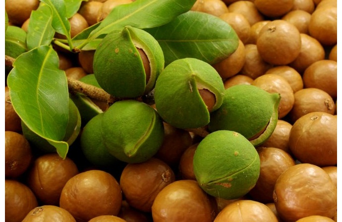 �� (690x448, 98Kb)