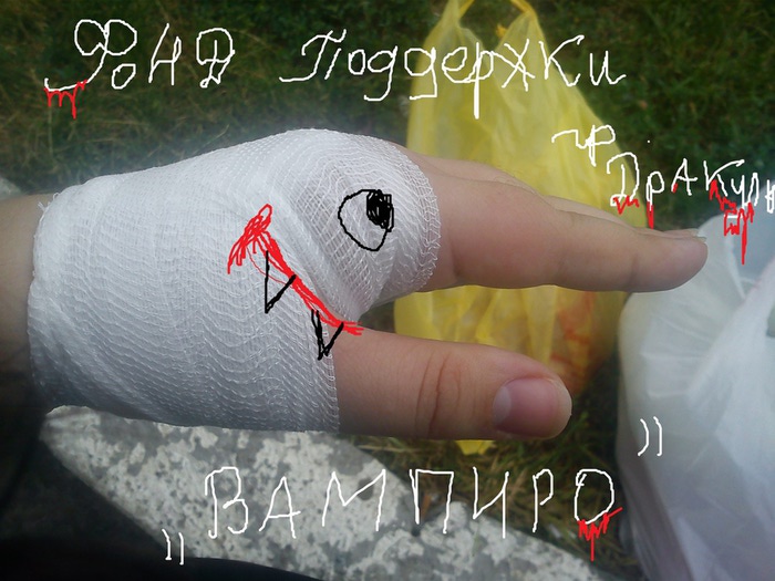 DSC00010 (700x525, 107Kb)