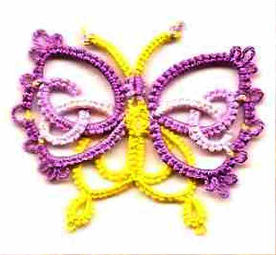 purple&yellowButterfly (557x515, 27Kb)