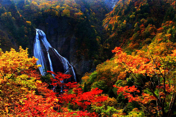 1 (699x466, 266Kb)