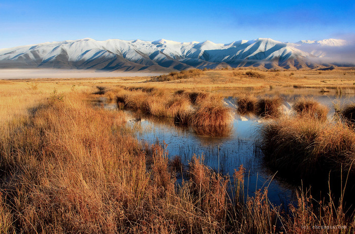 new zealand (2) (700x462, 195Kb)