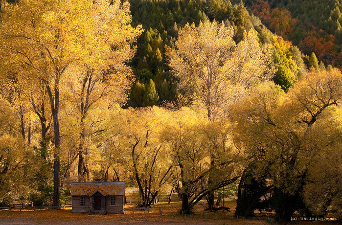 new zealand (13) (700x460, 251Kb)