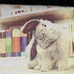 2120684_bunny (150x150, 41Kb)
