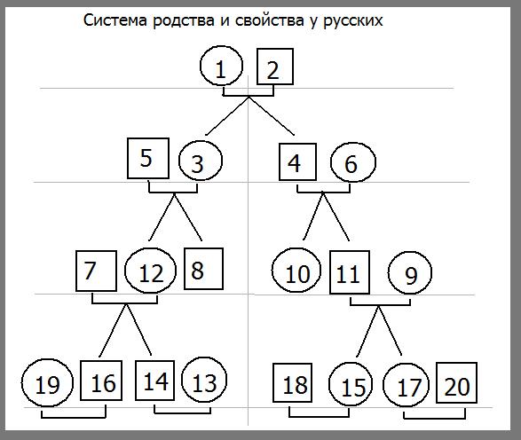 Установить степень родства. Степень родства. Схема родства. Системы родства в языках.