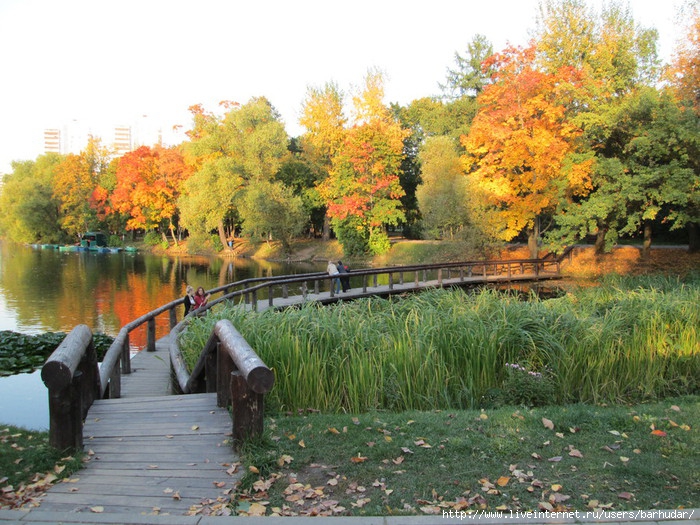 015 (700x525, 328Kb)