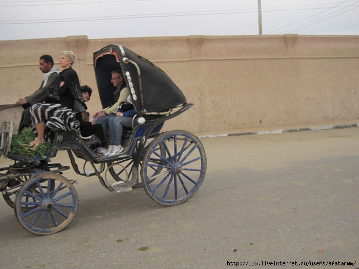 3427777_IMG_8724_copy (700x524, 190Kb)