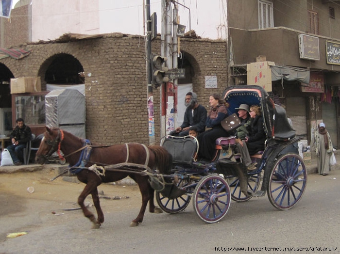 3427777_IMG_8728_copy (700x524, 235Kb)
