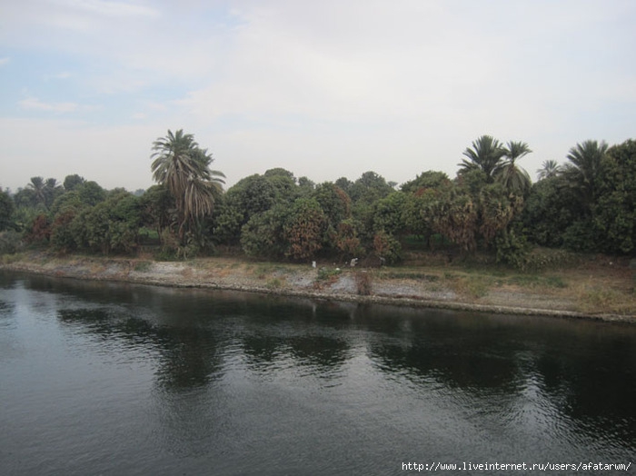 3427777_IMG_8756_copy (700x524, 173Kb)