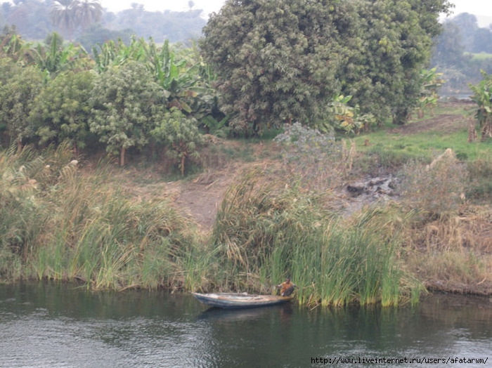 3427777_IMG_8759_copy (700x524, 283Kb)