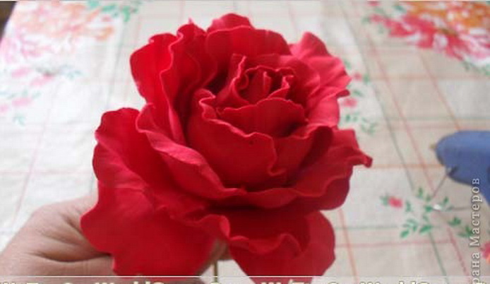 Розы из фоамирана своими