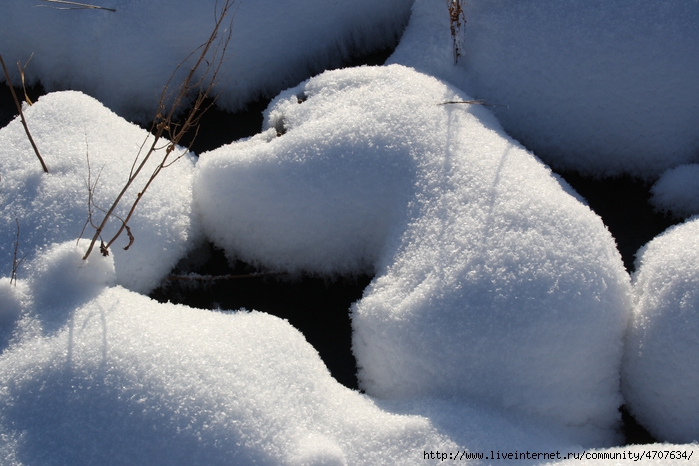 IMG_2939 (700x466, 253Kb)