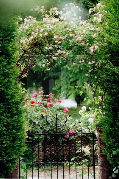 roses-in-garden-archway3 (400x600, 115Kb)