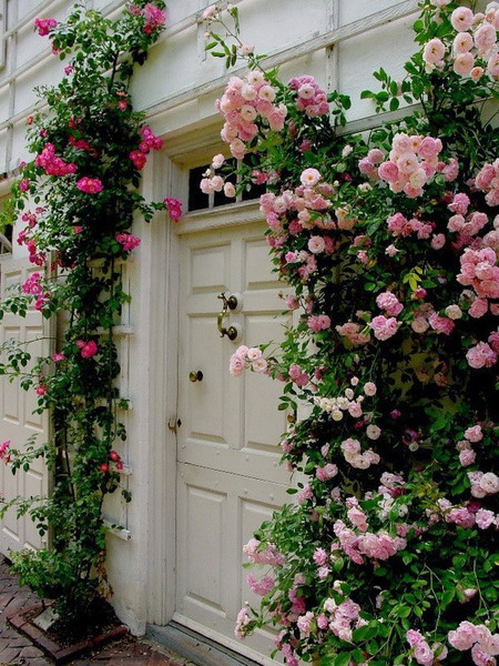 roses-in-garden-entrance1 (450x600, 136Kb)