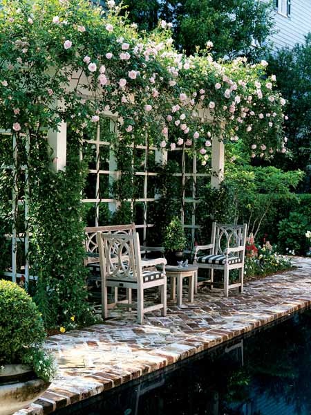 roses-in-garden-relax-nooks1 (450x600, 156Kb)