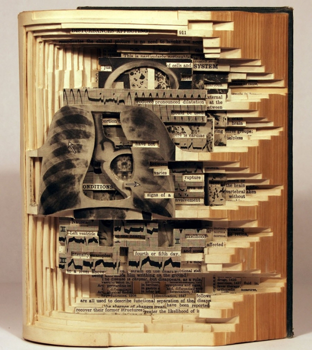 3623822_booksculpturesbybriandettmer_12 (623x700, 337Kb)