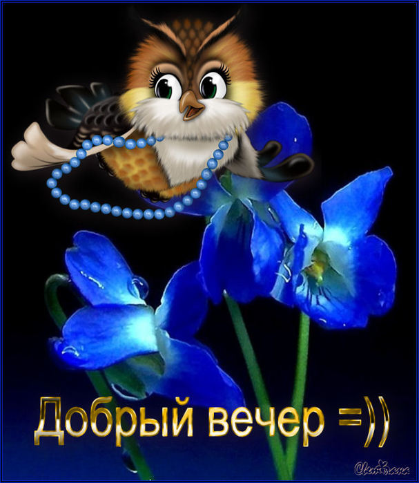 http://img1.liveinternet.ru/images/attach/c/6/102/832/102832937_izobrazhenie3.jpg