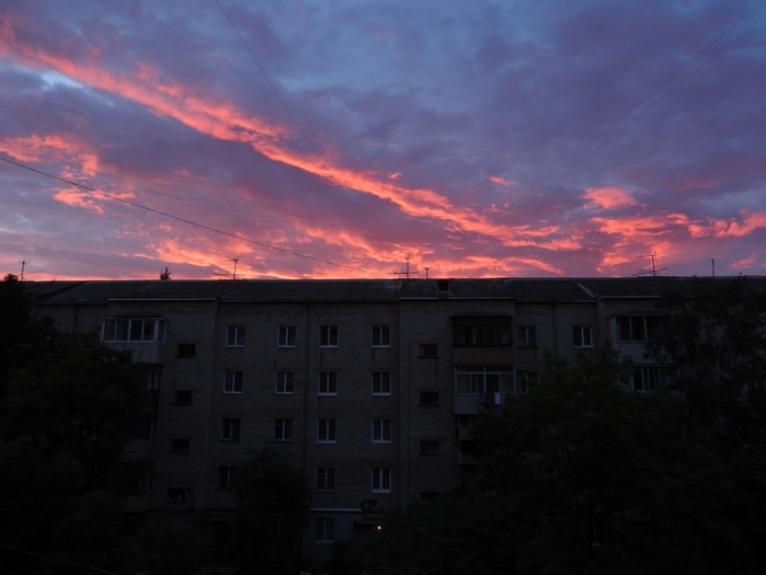 5559494_DSCN0376 (700x525, 184Kb)