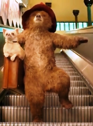 Медведь Паддингтон (314x425, 139Kb)