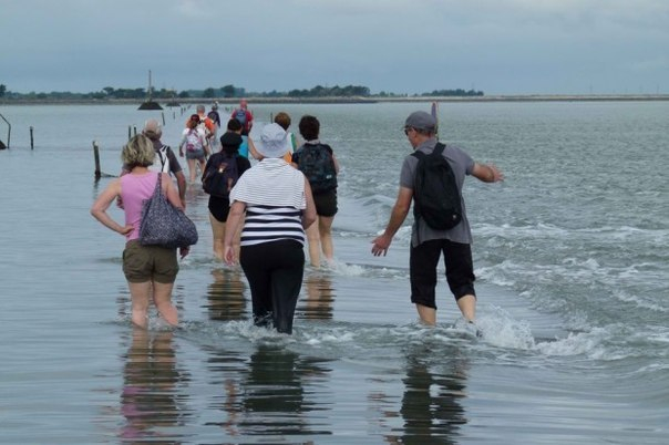 Passage du Gois (  )18 (604x402, 158Kb)