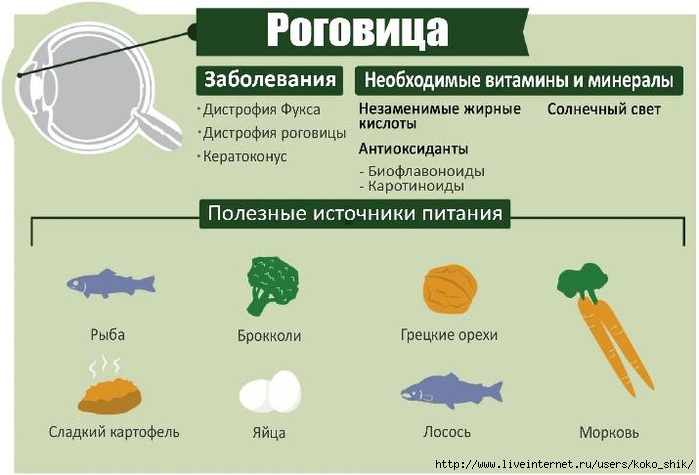 Полезные продукты для глаз презентация