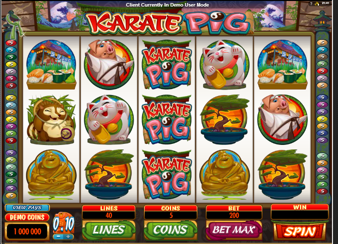 karate pig/3407372_karate_pig (673x485, 580Kb)