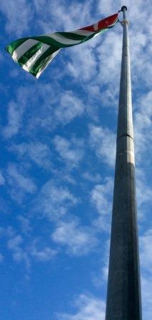 124399527_image (213x448, 14Kb)