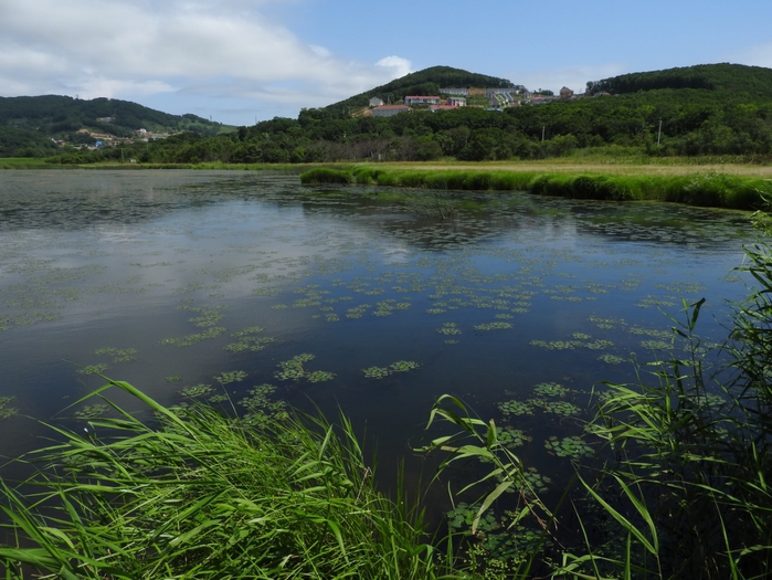 5559494_DSCN0693 (700x525, 294Kb)