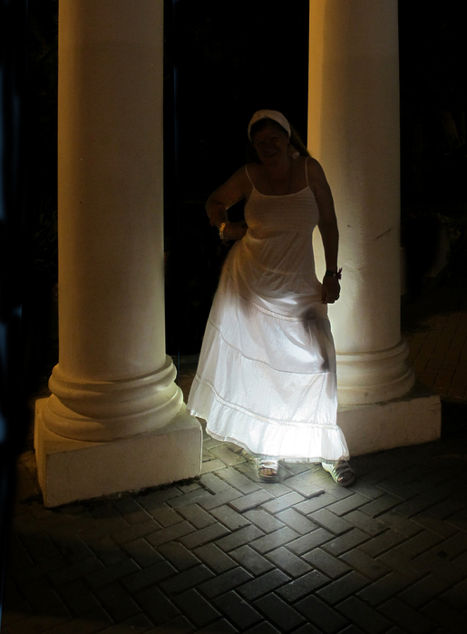 IMG_6860 (515x700, 214Kb)