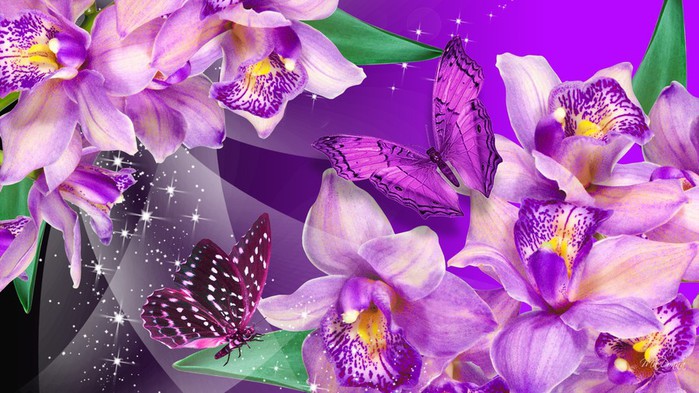 природа цветы орхидеи крупный план загрузить