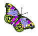 butterfly (650) (76x71, 18Kb)