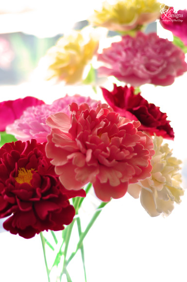 asstpeonies3-385x580 (385x580, 61Kb)