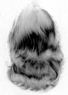 ponytail2 (233x324, 44Kb)