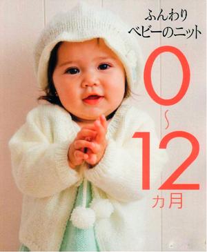 NV6487 0_12 -  (3) (300x365, 16Kb)